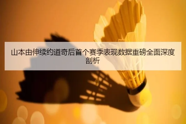 shan-ben-you-shen-xu-yue-dao-qi-hou-shou-ge-sai-ji-biao-xian-shu-ju-zhong-bang-quan-mian-shen-du-pou-xi-2-621.jpg